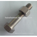 SS304 Stainless steel Hex Bolt Din933